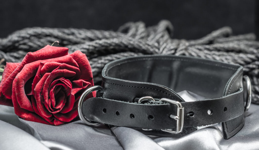 bdsm petplay