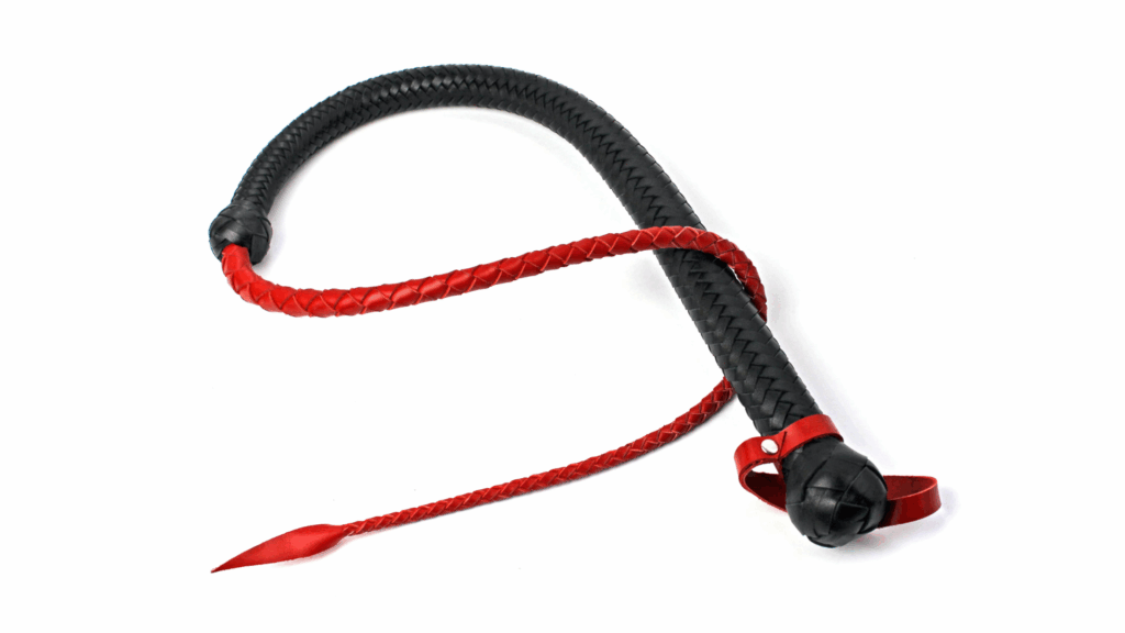 signal whip bdsm